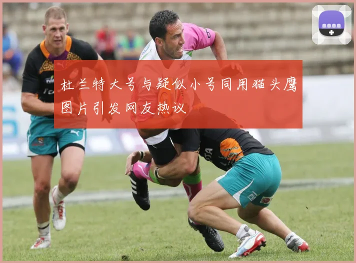 杜兰特大号与疑似小号同用猫头鹰图片引发网友热议