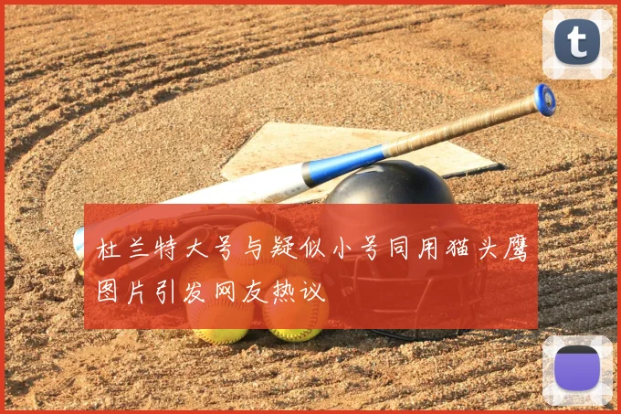 杜兰特大号与疑似小号同用猫头鹰图片引发网友热议
