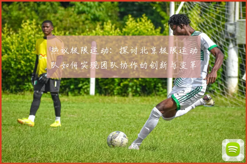 热议极限运动：探讨北京极限运动队如何实现团队协作的创新与变革