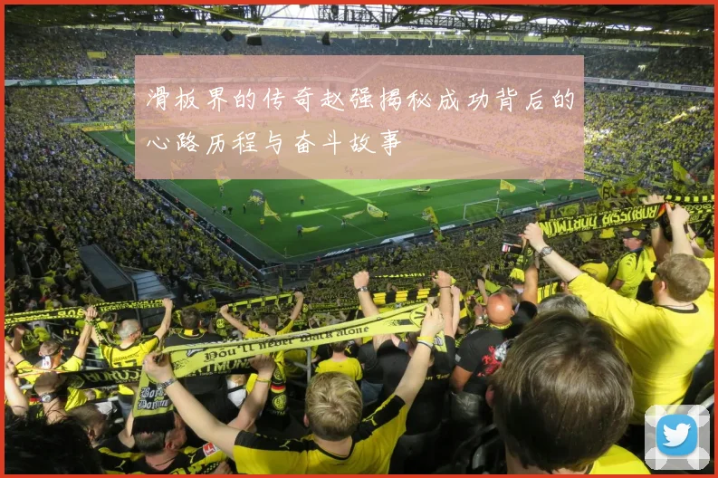 滑板界的传奇赵强揭秘成功背后的心路历程与奋斗故事