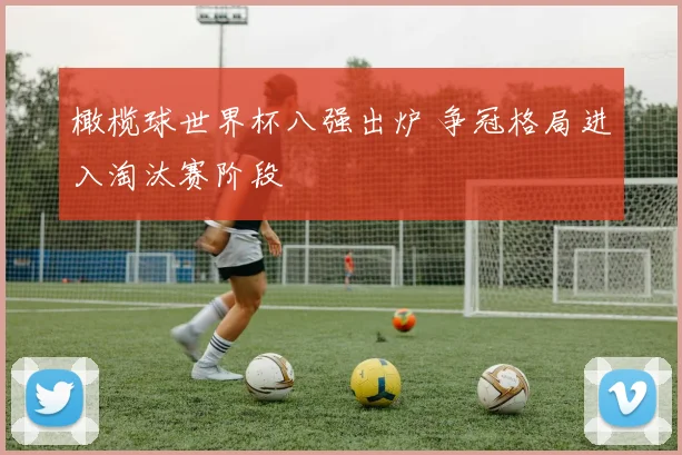 橄榄球世界杯八强出炉 争冠格局进入淘汰赛阶段