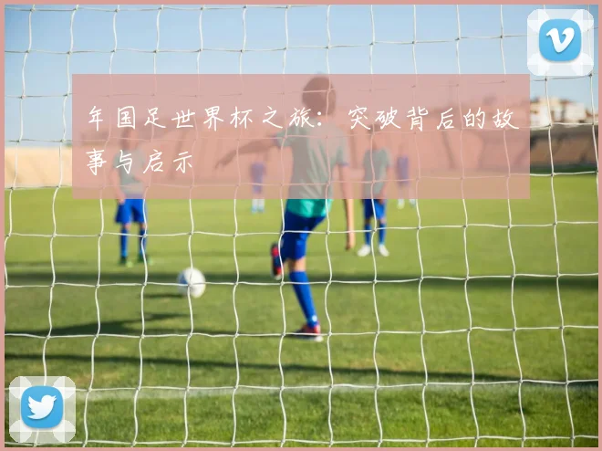 年国足世界杯之旅:突破背后的故事与启示