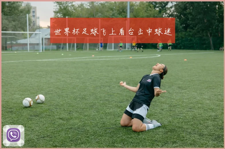 世界杯足球飞上看台击中球迷