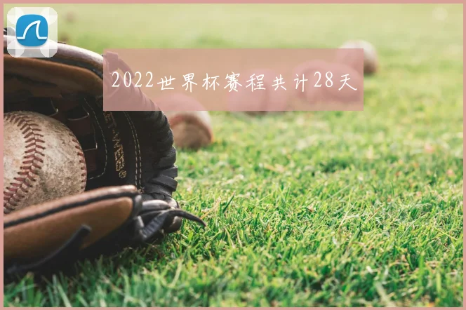 2022世界杯赛程共计28天