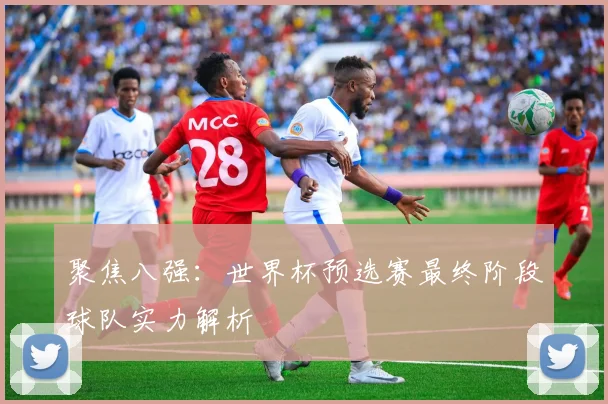 聚焦八强:世界杯预选赛最终阶段球队实力解析