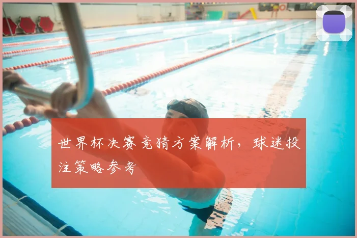 世界杯决赛竞猜方案解析，球迷投注策略参考