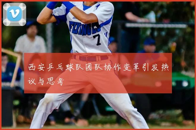 西安乒乓球队团队协作变革引发热议与思考